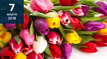 Поздравление дорогих женщин с праздником весны — 8 марта
